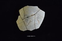 藏品(陶片)的圖片